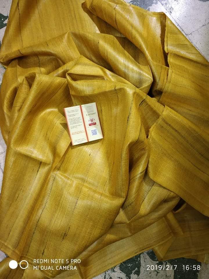Pure Tussar Ghicha Silk Saree TGS08