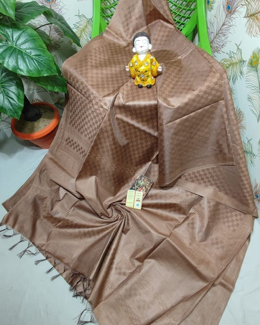 Handwoven Kota Viscose Silk Saree HKV36