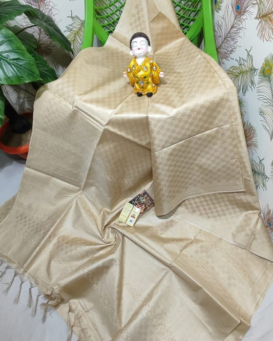 Handwoven Kota Viscose Silk Saree HKV38